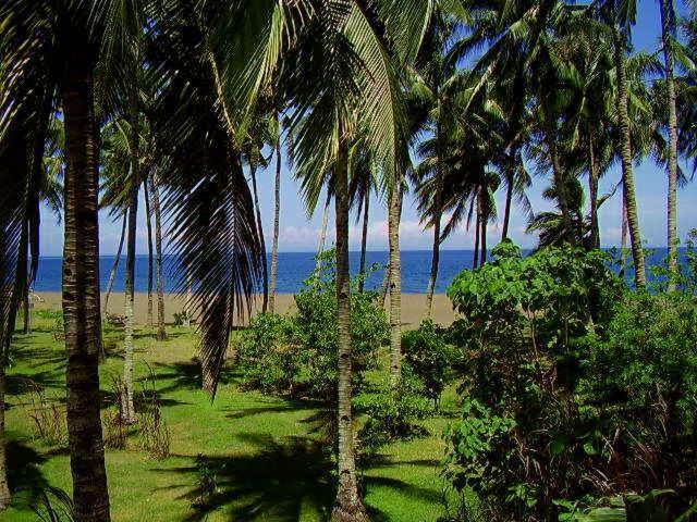Somewhere Else Boutique Resort มัมบาเฮา ห้อง รูปภาพ